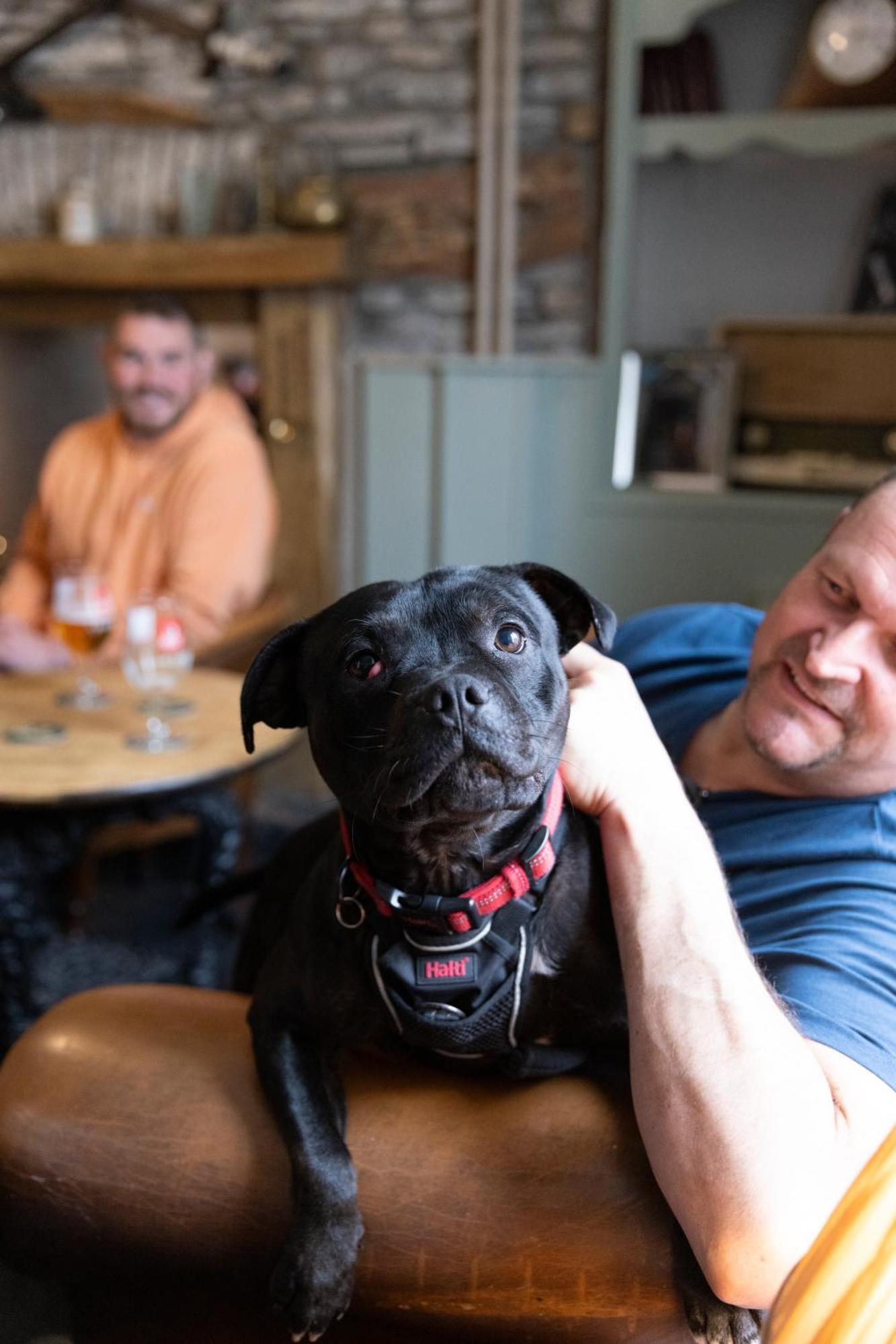 The Bear Inn Llantrisant  Zewnętrze zdjęcie